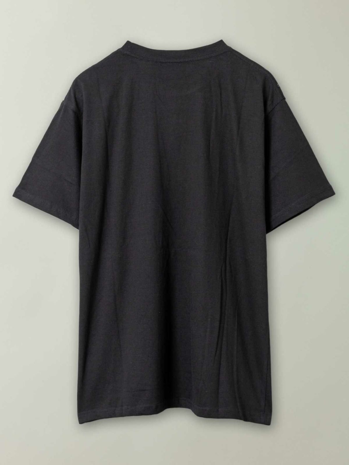 【和風景】“鳳凰と桜”プリントTシャツ