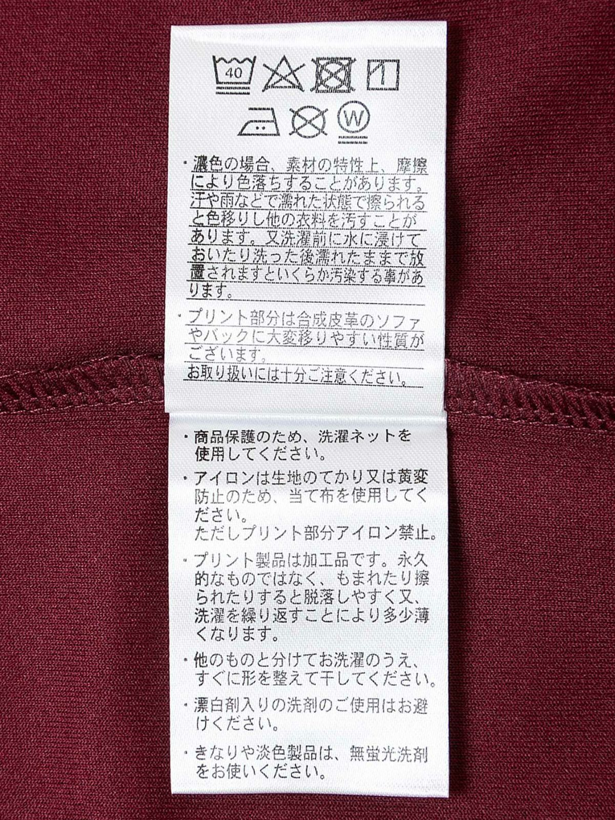 【和風景】“風神雷神と桜”プリントDRY素材Tシャツ