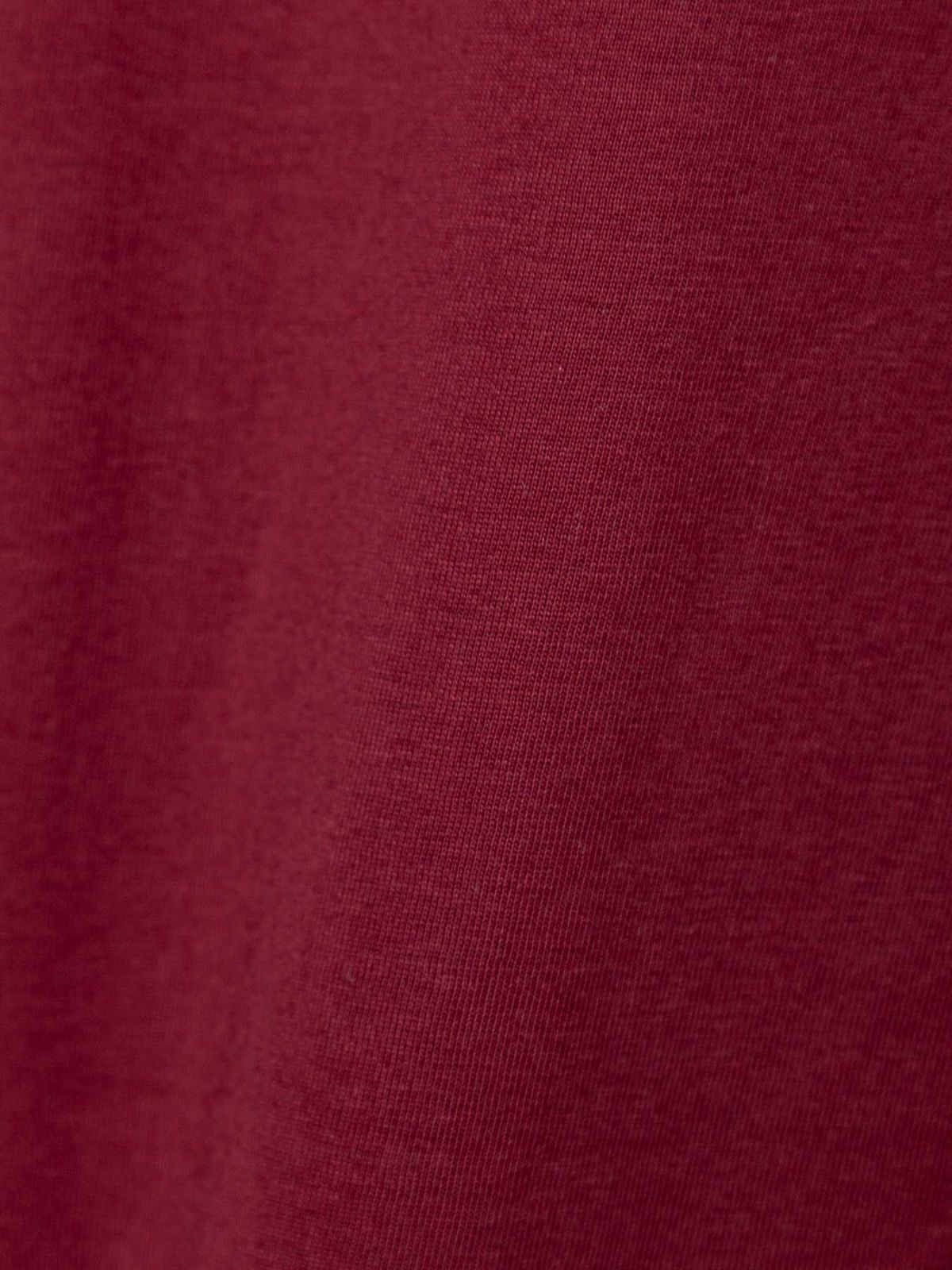 【和風景】“鳳凰と桜”刺繍入りプリントロンT