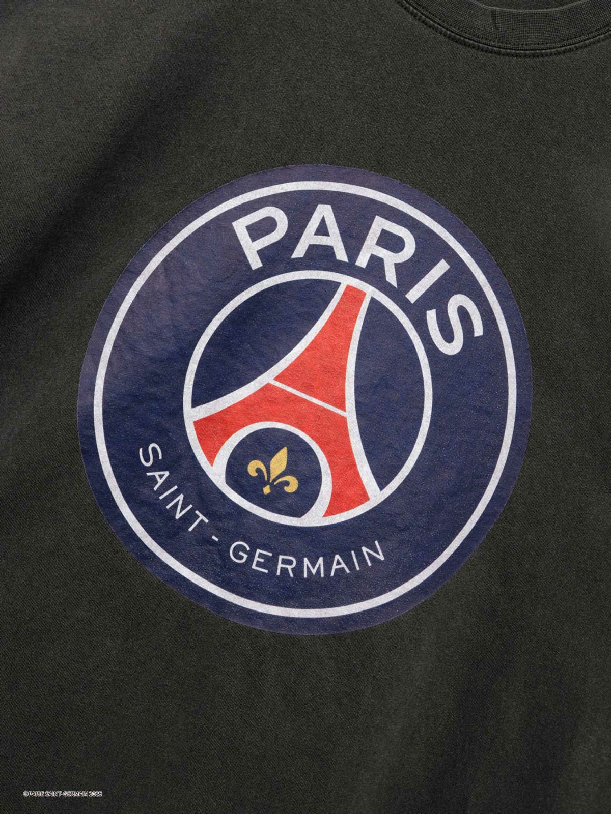 ピグメント加工 キャラクターTシャツ