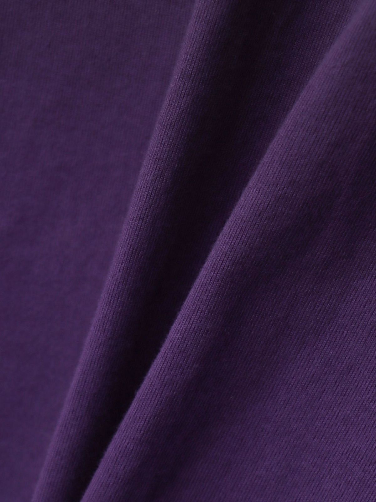 【絡繰魂・粋】“枝垂れ桜と九尾の狐”総刺繍 段染めグラデーションTシャツ