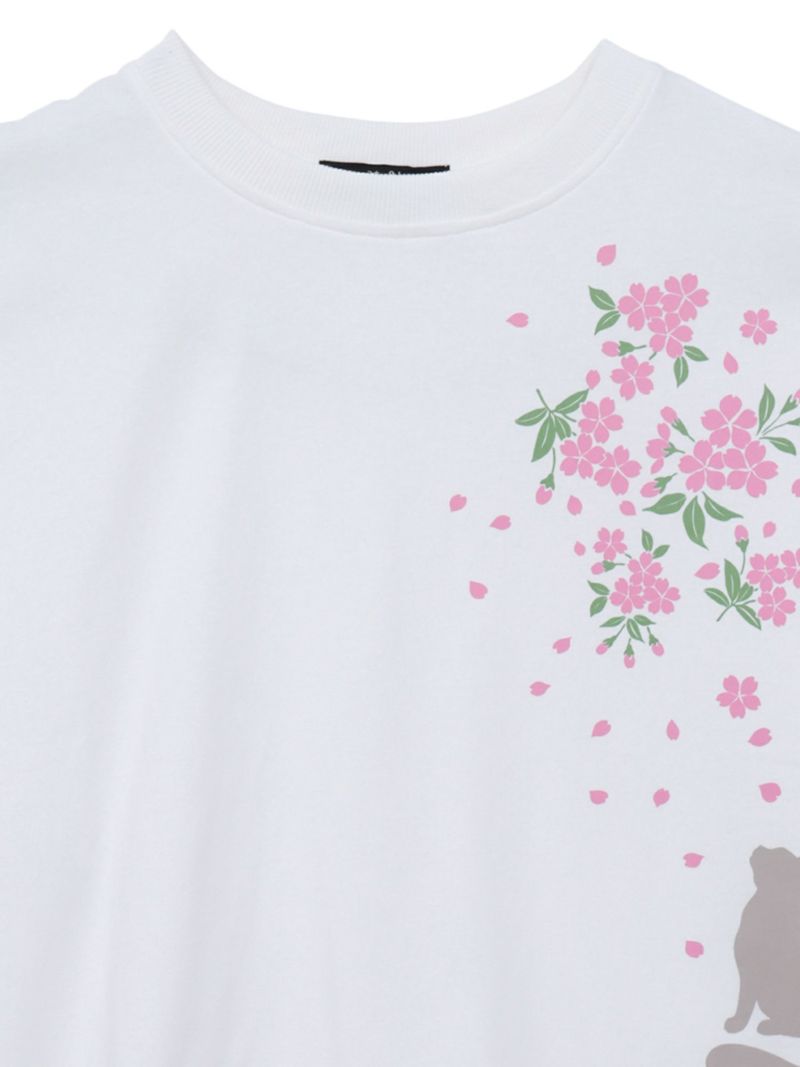 【雅結】桜と猫プリント ドルマンプルオーバー