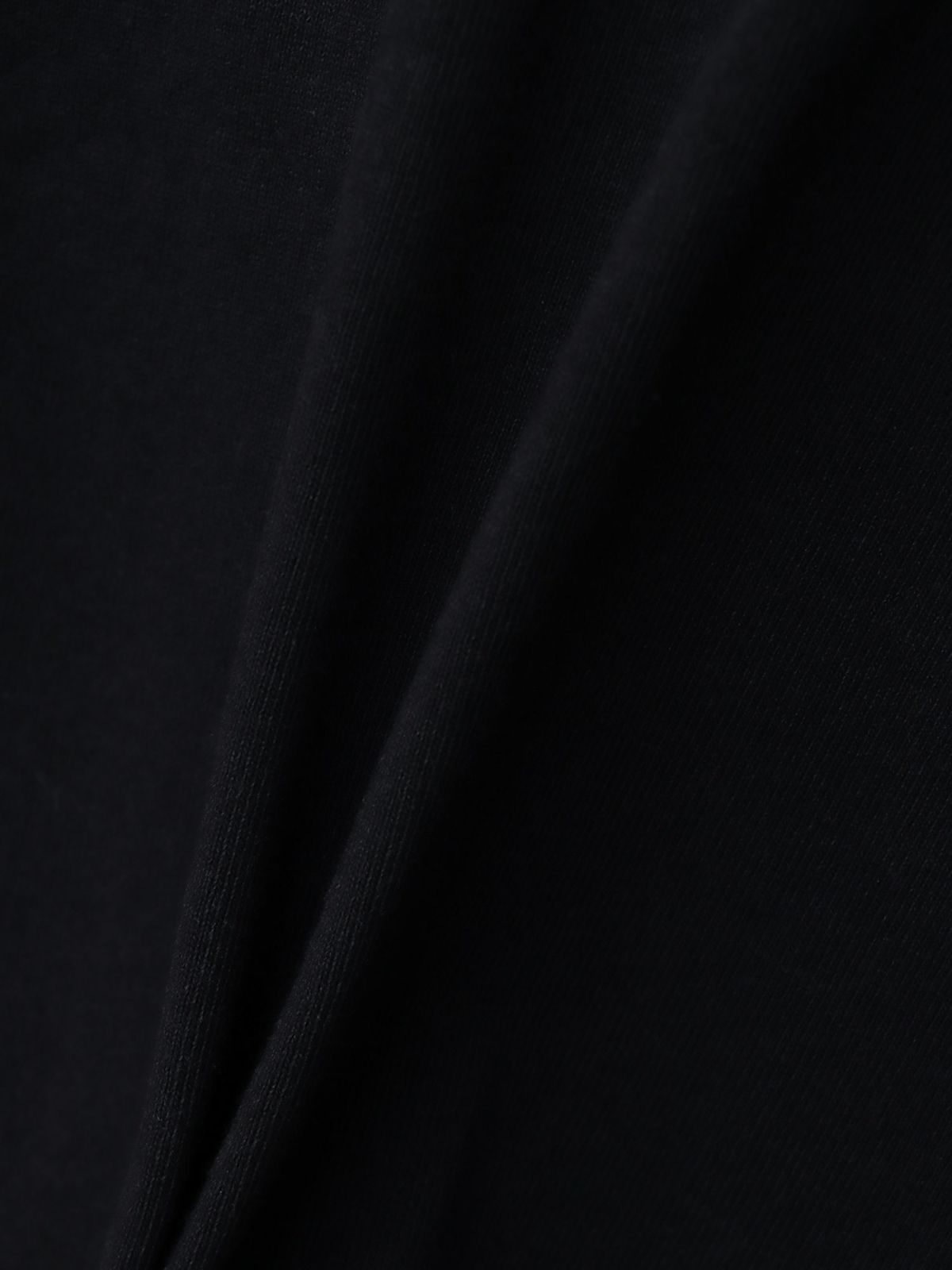 【DRASTIC GARDEN】“フェザーダリア”総刺繍Tシャツ