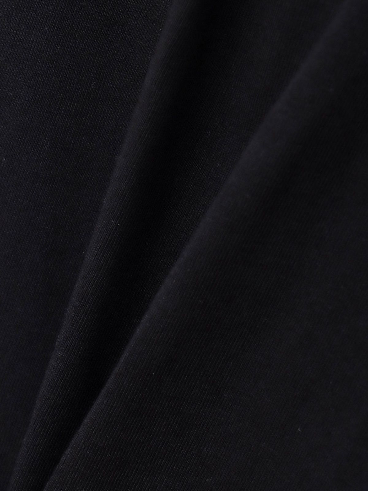 【和風景】双龍刺繍入りプリントTシャツ