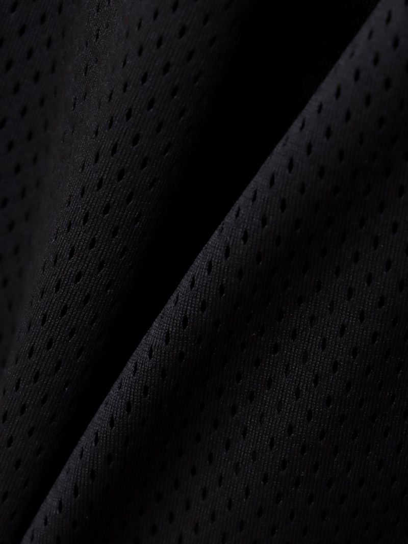 【DRASTIC GARDEN】“稲妻の薔薇”総刺繍メッシュ素材ワイドパンツ