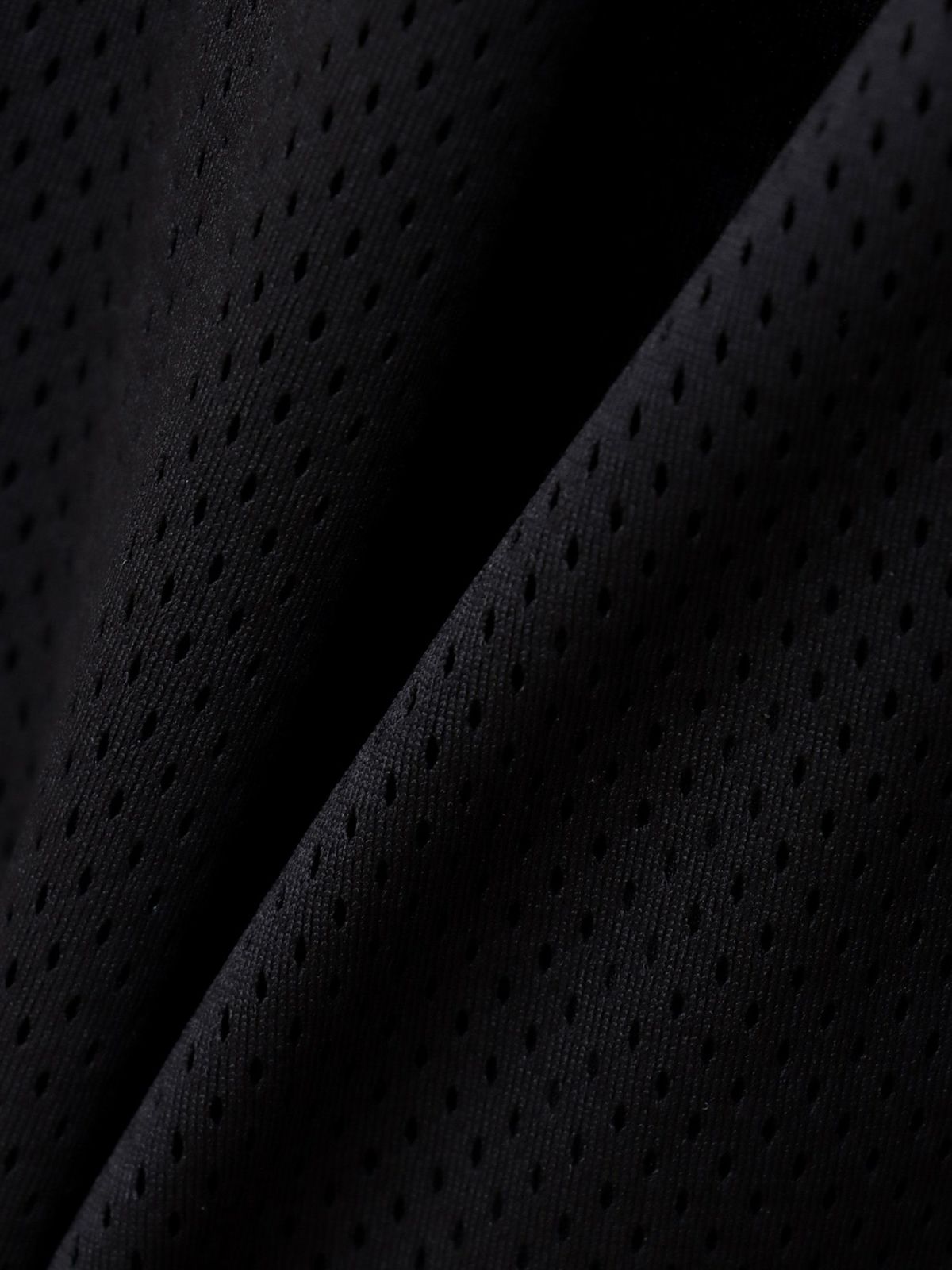 【DRASTIC GARDEN】“稲妻の薔薇”総刺繍メッシュ素材ワイドパンツ