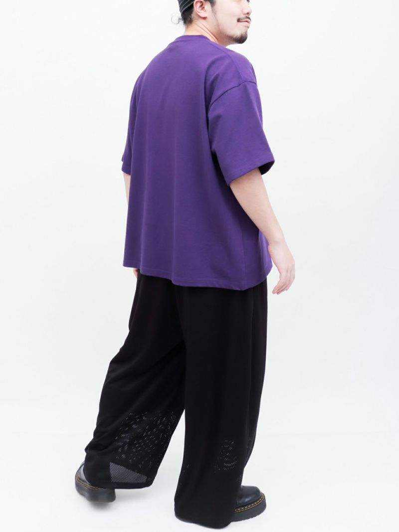 【DRASTIC GARDEN】“稲妻の薔薇”総刺繍メッシュ素材ワイドパンツ