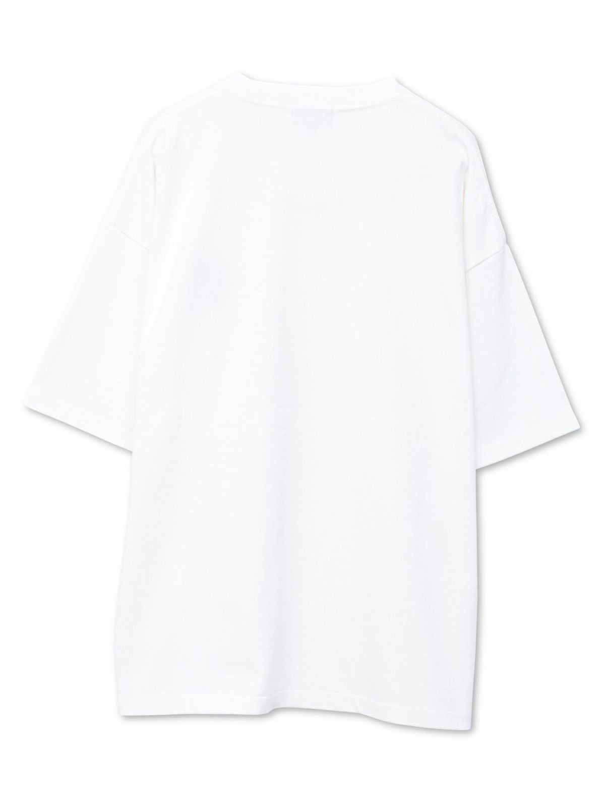 【DRASTIC GARDEN】“稲妻の薔薇”ワンポイント刺繍Tシャツ