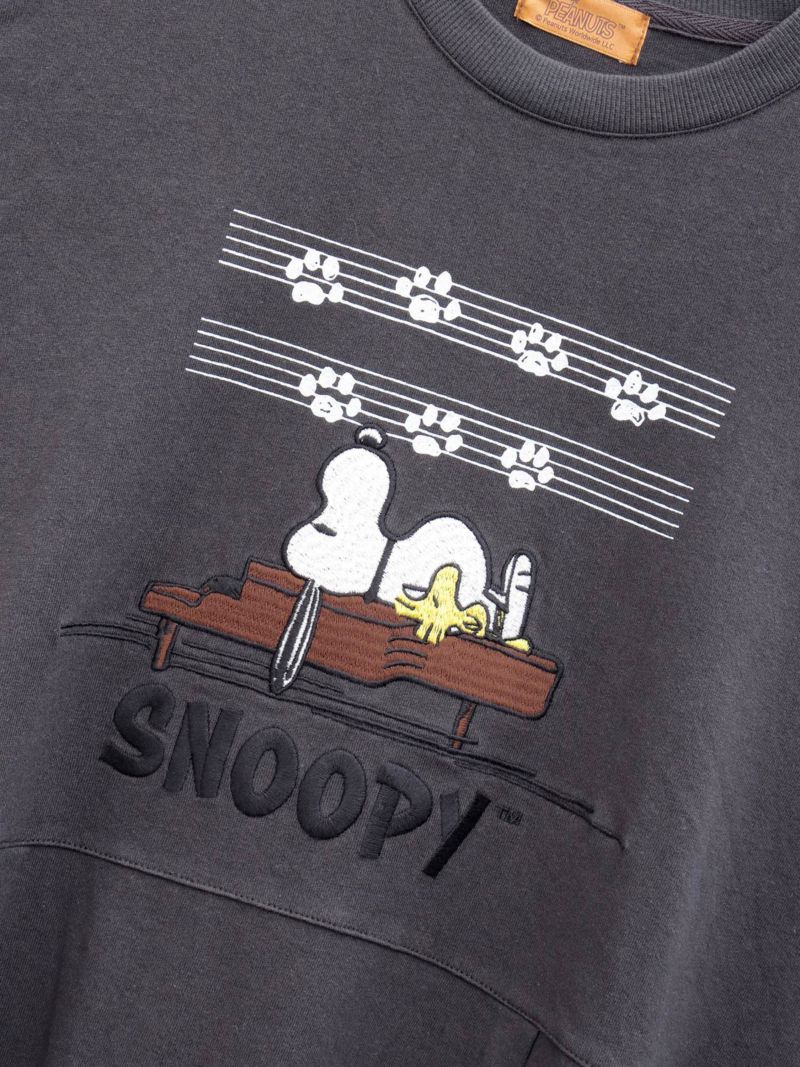 【JUICY×PEANUTS】“VINTAGE SNOOPY”異素材切替 総刺繍バルーンワンピース〔Lady's〕〔別注〕