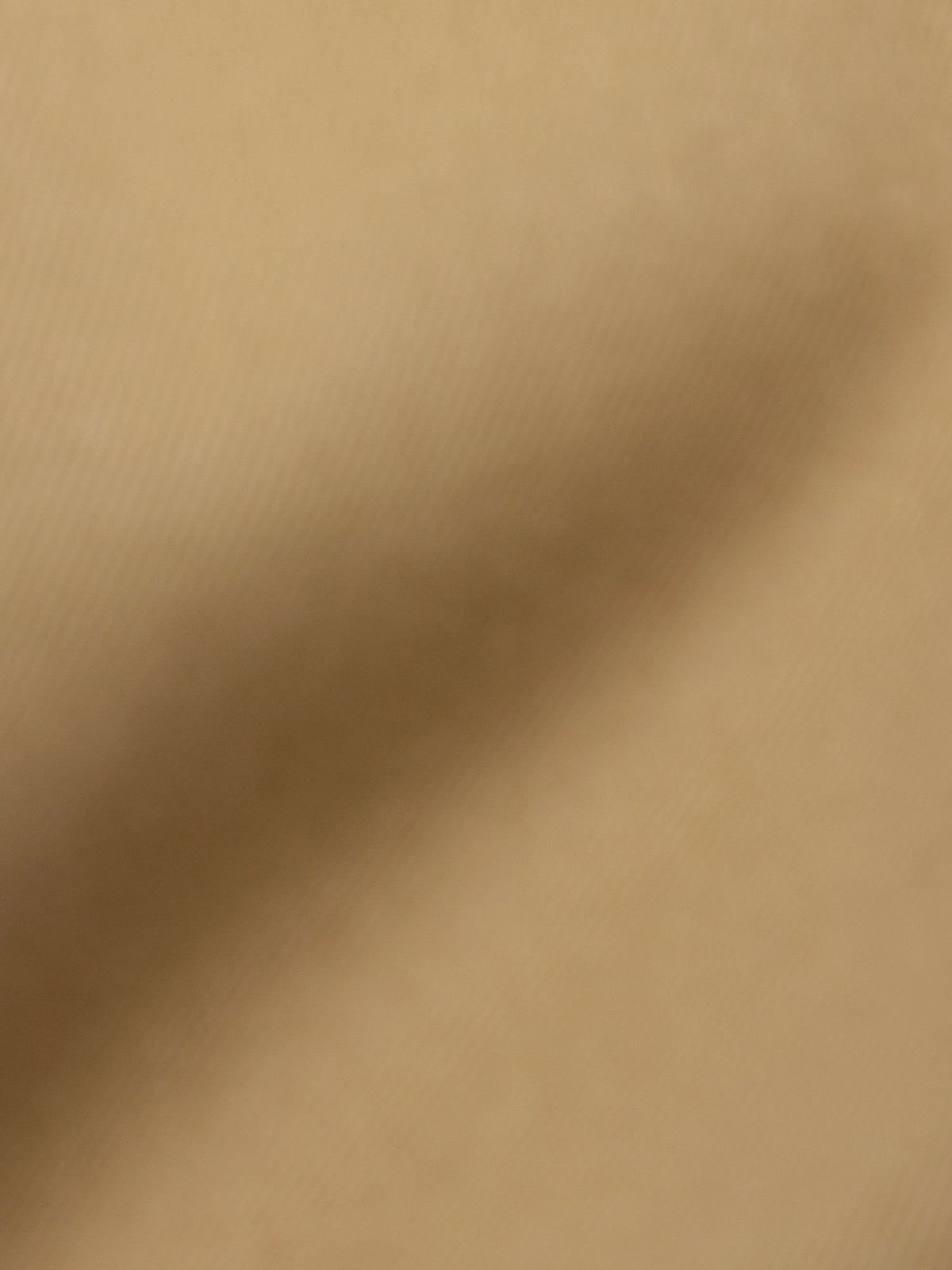 【moz】エルクワンポイントプリント イージーカーゴショーツ〔別注〕