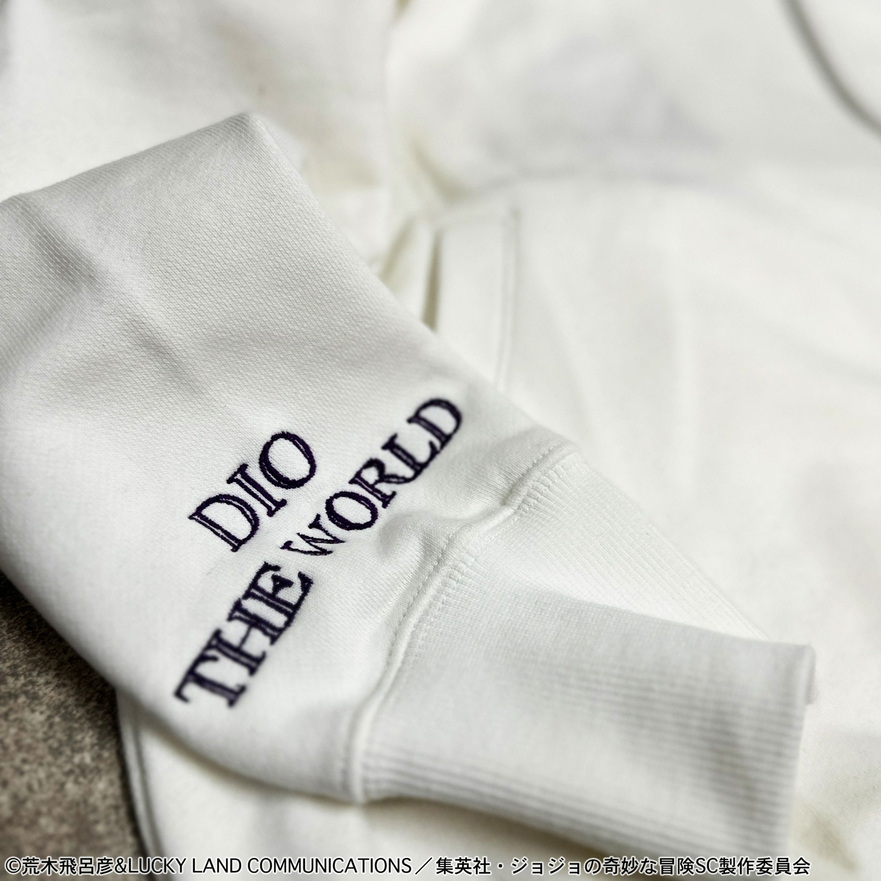 ＜予約＞【絡繰魂・粋×ジョジョの奇妙な冒険】DIO ZIPパーカー