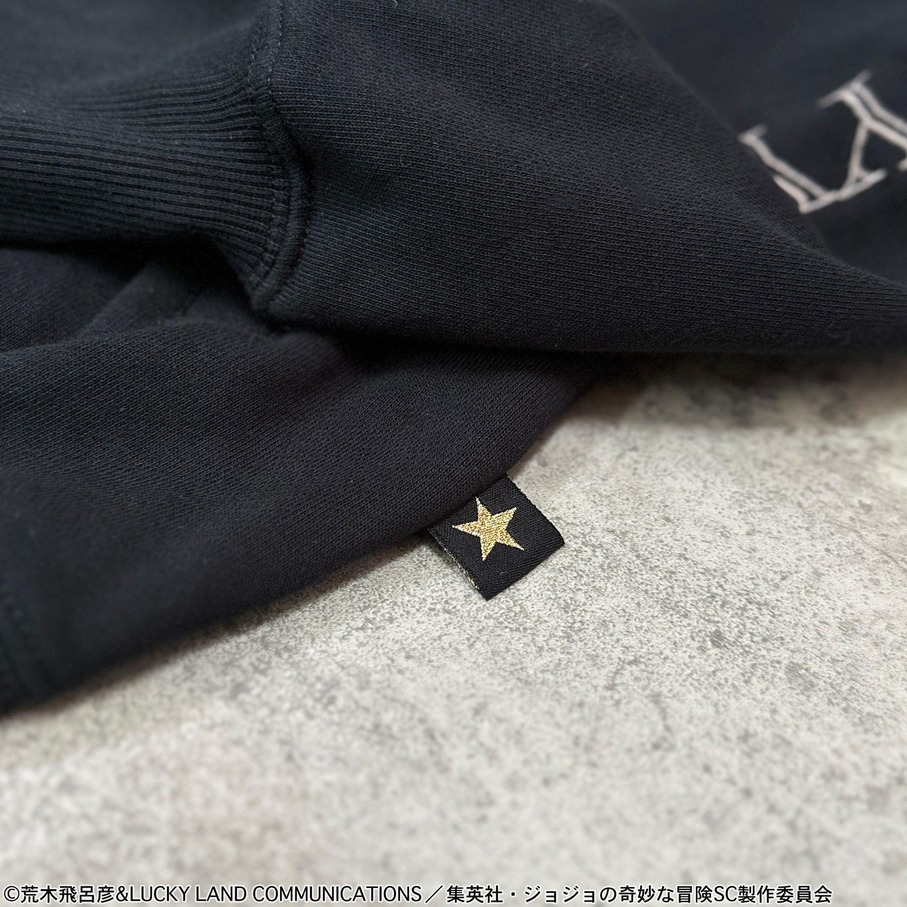 ＜予約＞【絡繰魂・粋×ジョジョの奇妙な冒険】DIO ZIPパーカー